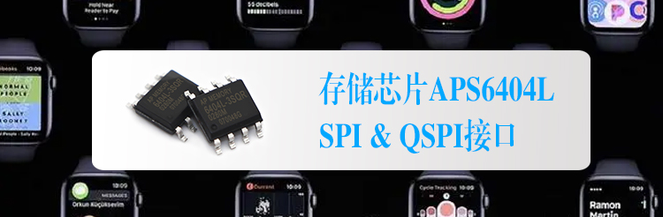 APS6404L.jpg